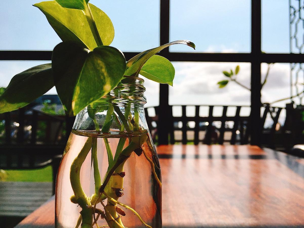 Fun Space Inn Kenting Luaran gambar